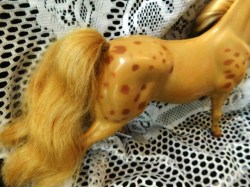 golden horse spots b